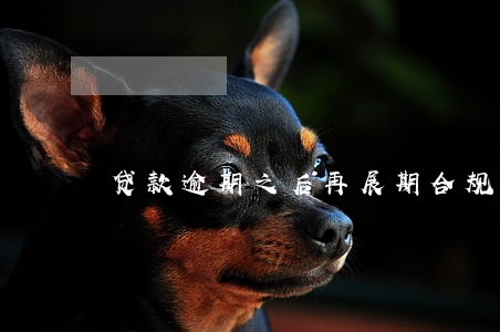 贷款逾期之后再展期合规吗 贷款逾期之后再展期合规吗