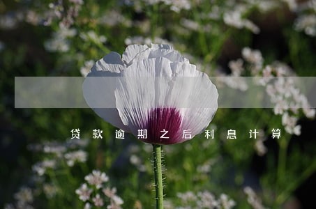 贷款逾期之后利息计算 贷款逾期之后利息计算