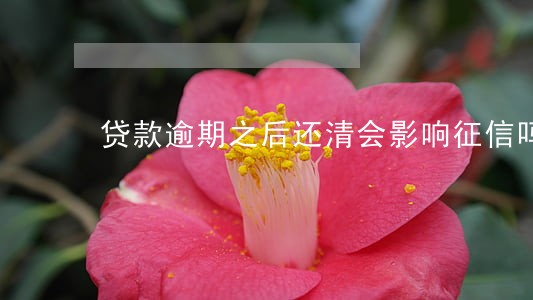 贷款逾期之后还清会影响征信吗 贷款逾期之后还清会影响征信吗