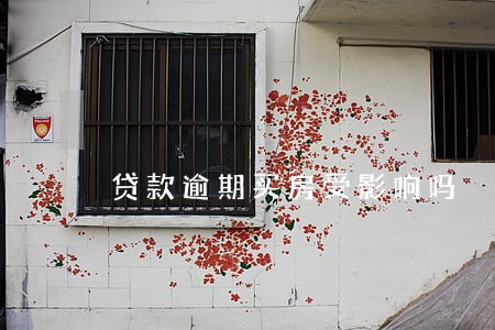 贷款逾期买房受影响吗