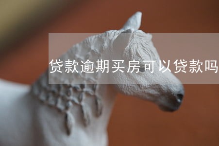 贷款逾期买房可以贷款吗 贷款逾期买房可以贷款吗