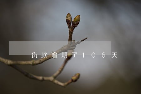 贷款逾期了106天 贷款逾期了106天