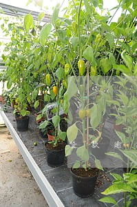 贷款逾期了5天 贷款逾期了5天