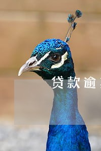 贷款逾期了5天会上征信吗 贷款逾期了5天会上征信吗