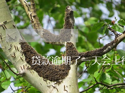 贷款逾期了一天会上征信吗 贷款逾期了一天会上征信吗