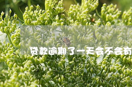 贷款逾期了一天会不会有影响 贷款逾期了一天会不会有影响