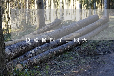 贷款逾期了三四天 贷款逾期了三四天