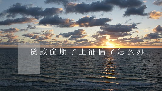 贷款逾期了上征信了怎么办 贷款逾期了上征信了怎么办