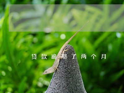 贷款逾期了两个月 贷款逾期了两个月
