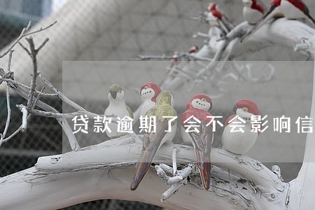 贷款逾期了会不会影响信用卡 贷款逾期了会不会影响信用卡