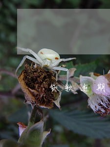 贷款逾期了会发信息吗 贷款逾期了会发信息吗