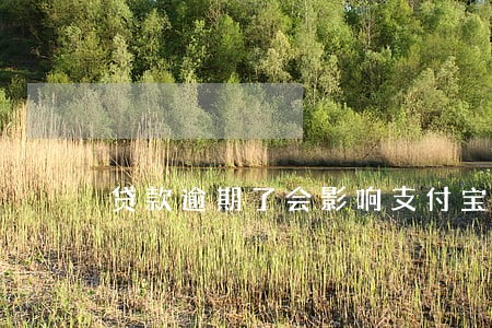 贷款逾期了会影响支付宝吗 贷款逾期了会影响支付宝吗