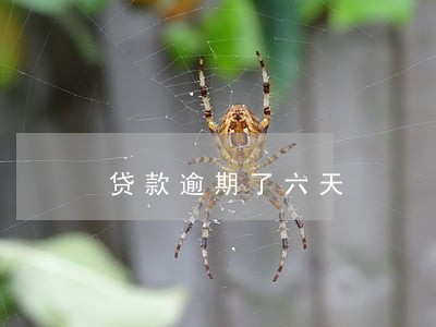贷款逾期了六天 贷款逾期了六天