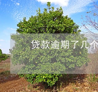 贷款逾期了几个月上征信 贷款逾期了几个月上征信