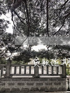 贷款逾期了可以不理么暂时 贷款逾期了可以不理么暂时