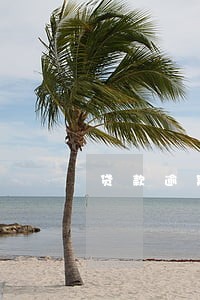 贷款逾期了可以办理护照吗 贷款逾期了可以办理护照吗