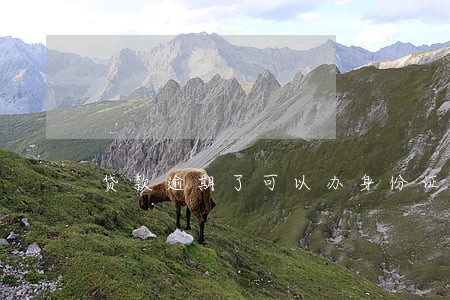 贷款逾期了可以办身份证吗 贷款逾期了可以办身份证吗