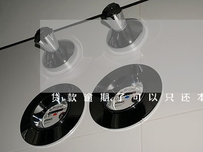 贷款逾期了可以只还本金吗 贷款逾期了可以只还本金吗