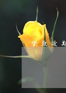 贷款逾期了四天多久能消除 贷款逾期了四天多久能消除