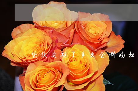 贷款逾期了多久会影响担保人 贷款逾期了多久会影响担保人