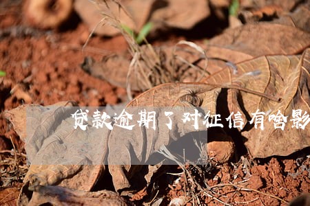 贷款逾期了对征信有啥影响 贷款逾期了对征信有啥影响