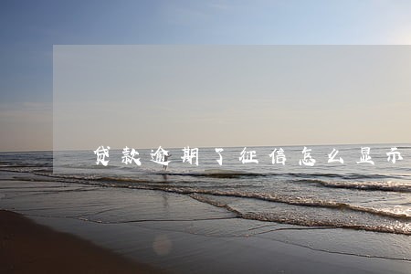 贷款逾期了征信怎么显示 贷款逾期了征信怎么显示