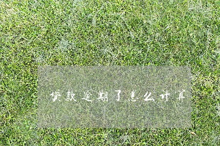 贷款逾期了怎么计算 贷款逾期了怎么计算