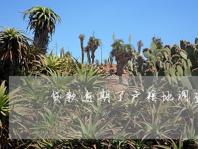 贷款逾期了户籍地调查
