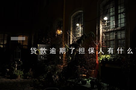 贷款逾期了担保人有什么责任 贷款逾期了担保人有什么责任