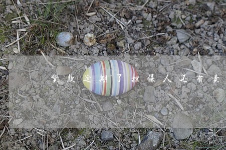 贷款逾期了担保人还有责任吗 贷款逾期了担保人还有责任吗