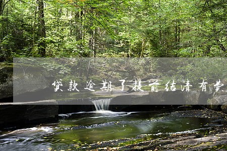 贷款逾期了提前结清有费用吗 贷款逾期了提前结清有费用吗