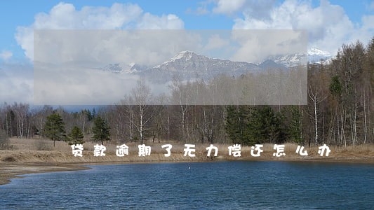 贷款逾期了无力偿还怎么办 贷款逾期了无力偿还怎么办