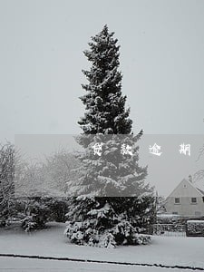贷款逾期了暂时还不上 贷款逾期了暂时还不上