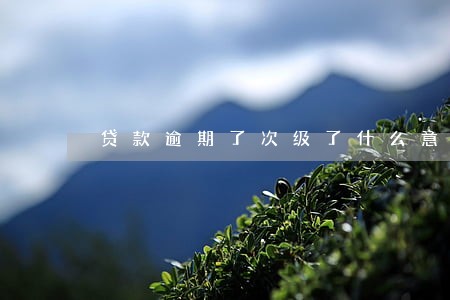 贷款逾期了次级了什么意思 贷款逾期了次级了什么意思