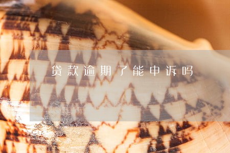 贷款逾期了能申诉吗