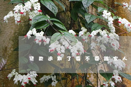 贷款逾期了要不要跟家人坦白 贷款逾期了要不要跟家人坦白