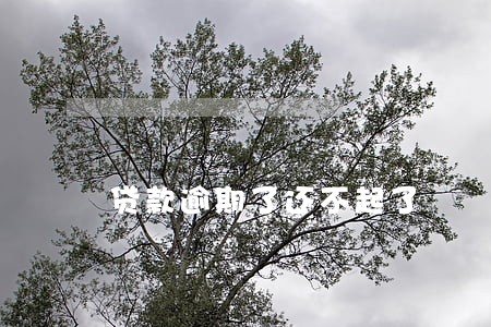 贷款逾期了还不起了 贷款逾期了还不起了