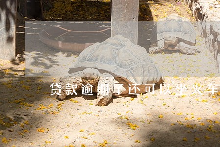 贷款逾期了还可以坐火车吗 贷款逾期了还可以坐火车吗