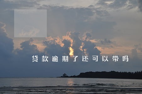 贷款逾期了还可以带吗 贷款逾期了还可以带吗