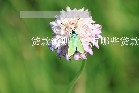 贷款逾期了还有哪些贷款容易贷 贷款逾期了还有哪些贷款容易贷