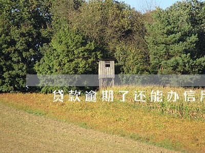 贷款逾期了还能办信用卡 贷款逾期了还能办信用卡