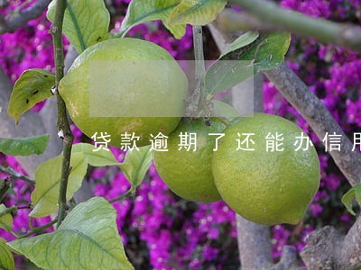 贷款逾期了还能办信用卡嘛 贷款逾期了还能办信用卡嘛