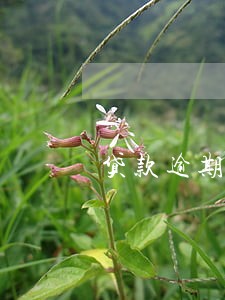 贷款逾期事务所通知单 贷款逾期事务所通知单