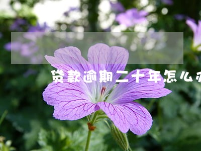 贷款逾期二十年怎么办 贷款逾期二十年怎么办