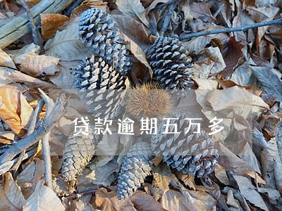 贷款逾期五万多 贷款逾期五万多