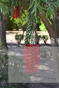 贷款逾期五天了怎么办 贷款逾期五天了怎么办