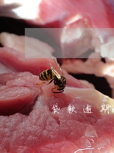 贷款逾期五年银行还能起诉吗 贷款逾期五年银行还能起诉吗