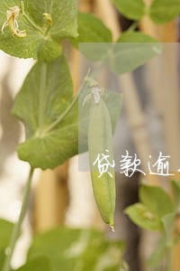贷款逾期五次严重吗 贷款逾期五次严重吗