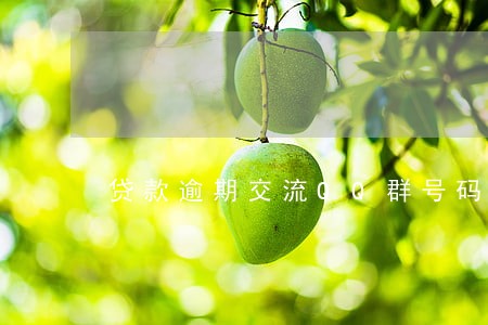 贷款逾期交流QQ群号码 贷款逾期交流QQ群号码