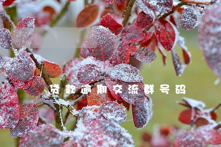 贷款逾期交流群号码 贷款逾期交流群号码